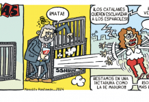 Ayusadas nº 28 por Manolito Rastamán