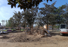 Vecinas y vecinos del entorno del Parque de la Cornisa denuncian mala gestión y despilfarro en la reforma del parque